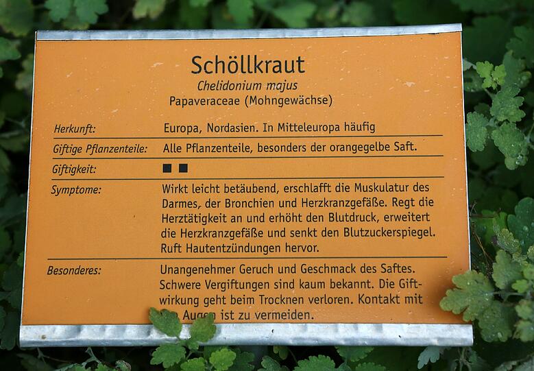 Auflösung siehe Tafel