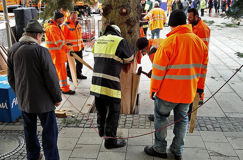 Reingehammert werden die Keile...