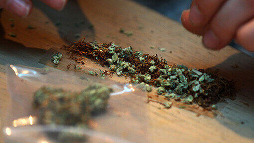 500 Gramm Marihuana fand die Polizei in der Wohnung, teils verkaufsfertig portioniert. (Symbolbild) 500 Gramm Marihuana fand die Polizei in der Wohnung, teils verkaufsfertig portioniert. (Symbolbild)