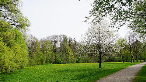 Die Idylle trügt: Um dieses Stück Grün in Oberföhring tobt ein Kampf zwischen den Anwohnern.