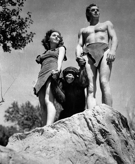 Das Tier sei aus dem Nachlass Weissmüllers irgendwann in den 60er Jahren in das Heim gekommen, sagte Cobb.