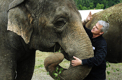 2006 - Elephant Sabu: Jeder braucht mal einen freien Tag: Die Elefantenkuh floh aus ihrem Zirkus und spazierte kurz durch Zürich. Mediale Lebensdauer:&#160;1 Tag
