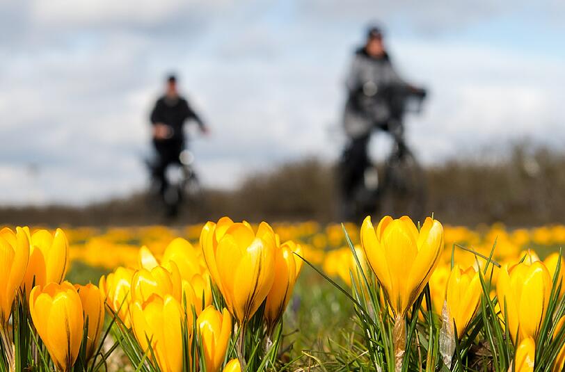 Gesund in den Frühling starten - mit diesen Tipps klappt es mit Sicherheit
