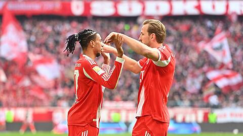 Bayerns Topscorer und Topst&uuml;rmer: Michael Olise (li.) und Harry Kane