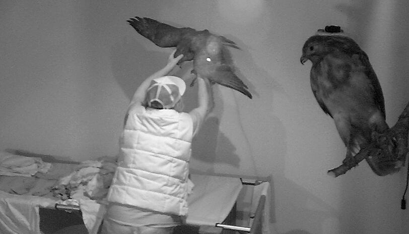 Geheim-Mission für Martin und Simon: PETA-Aktivistin Pamela Anderson möchte keine tierischen Produkte um sich haben. Ohne zu wissen warum, müssen die beiden deshalb sämtliche Gegenstände aus tierischen Materialien aus dem Haus entfernen.