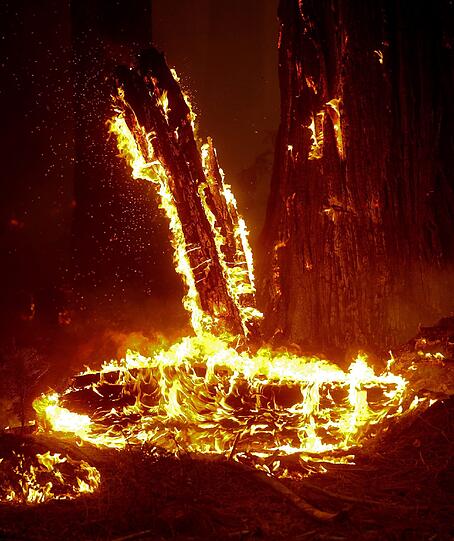 Die Waldbrände in der kalifornischen Sierra Nevada haben den Yosemite-Nationalpark erreicht. Die Bilder der Feuersbrunst!