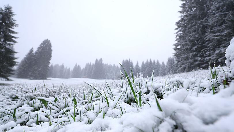 In höheren Lagen ist noch einmal Neuschnee gefallen. Und es bleibt weiter kühl. In höheren Lagen ist noch einmal Neuschnee gefallen. Und es bleibt weiter kühl.