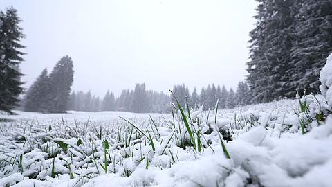 In h&ouml;heren Lagen ist noch einmal Neuschnee gefallen. Und es bleibt weiter k&uuml;hl.