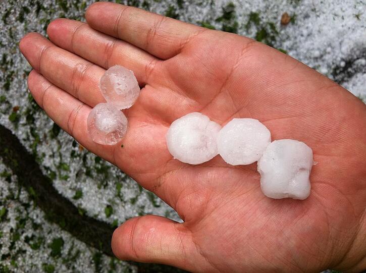 Hagel, Regen, umgeknickte Bäume, vollgelaufene Keller - Heftige Unwetter sind am Mittwochabend über Bayern gezogen. Die Bilder.