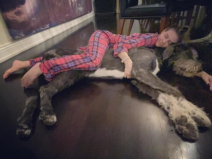 Anton ist riiiiesig. Heidi Klum liegt im Schlafanzug auf ihrem irischem Wolfshund.