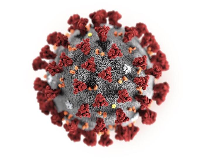 Diese Illustration zeigt das 2019 Novel Coronavirus. Foto: Centers for Disease Control and Prevention/AP/dpa/Archiv