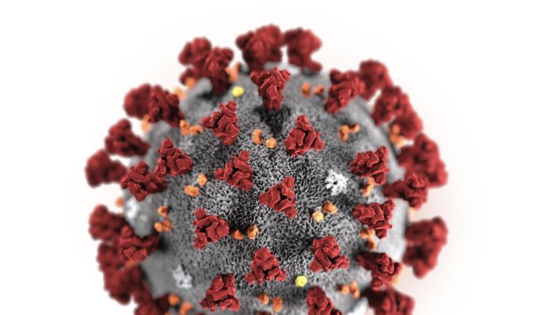 Diese Illustration zeigt das 2019 Novel Coronavirus. Foto: Centers for Disease Control and Prevention/AP/dpa/Archiv Diese Illustration zeigt das 2019 Novel Coronavirus. Foto: Centers for Disease Control and Prevention/AP/dpa/Archiv
