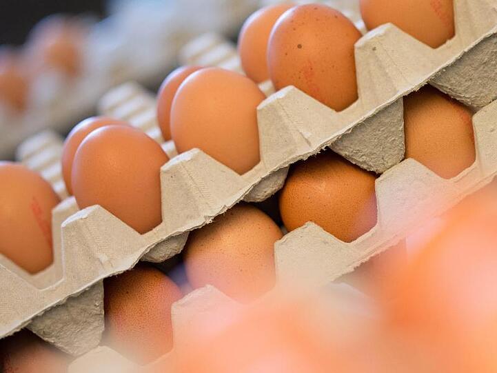 Die Eierpreise sind wenige Tage nach dem Jahresbeginn 2020 in Bewegung geraten.