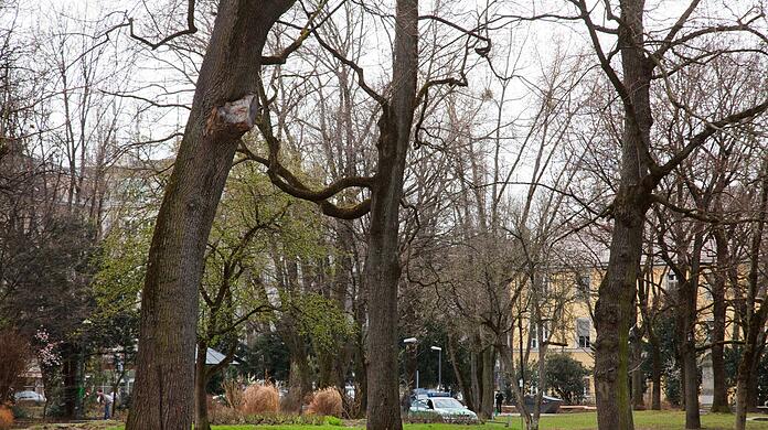 Blick in den Nußbaumpark in der Nähe des Sendlinger-Tor-Platzes. (Archivbild)