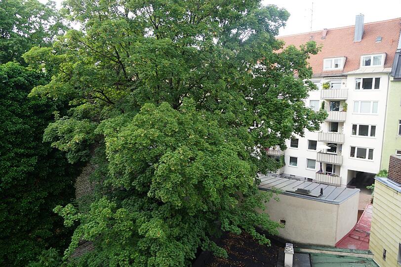 Viele alte Bäume, Platz für Vögel und Insekten: Das alles soll einem Neubau weichen &ndash; mitten im Hof.