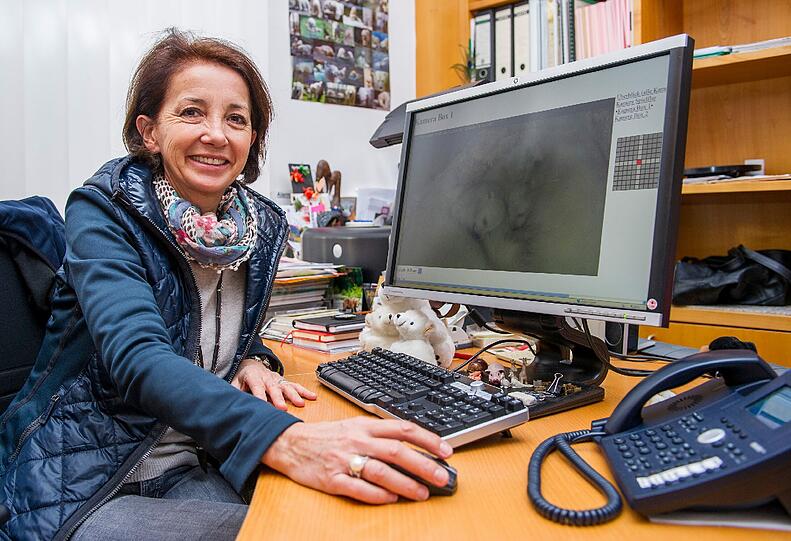 Kuratorin Beatrix Köhler hat immer die neuesten Bilder aus der Wurfbox auf dem Schirm.