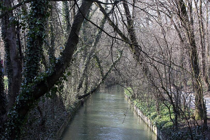 Was für eine Idylle an der Pestalozzistraße mit (bald wieder) viel Grün und dem Westermühlbach.