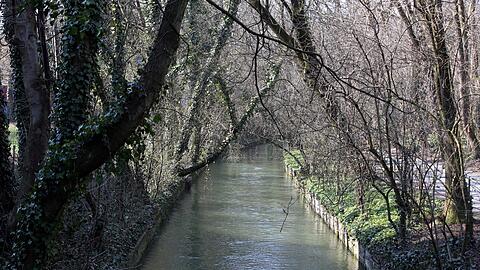 Was für eine Idylle an der Pestalozzistraße mit (bald wieder) viel Grün und dem Westermühlbach.