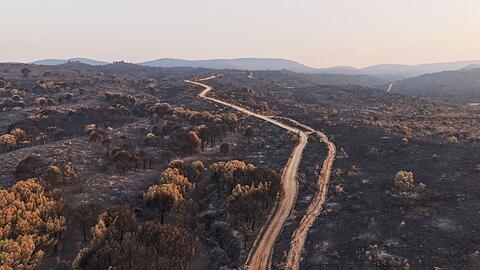 Diese vierte Hitzewelle des Sommers in Spanien soll bis Sonntag anhalten.