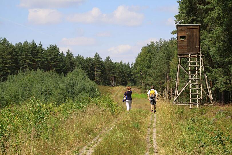 Kolonnenweg: Wanderer und Jägerhochsitze statt Grenzsoldaten und Wachtürme