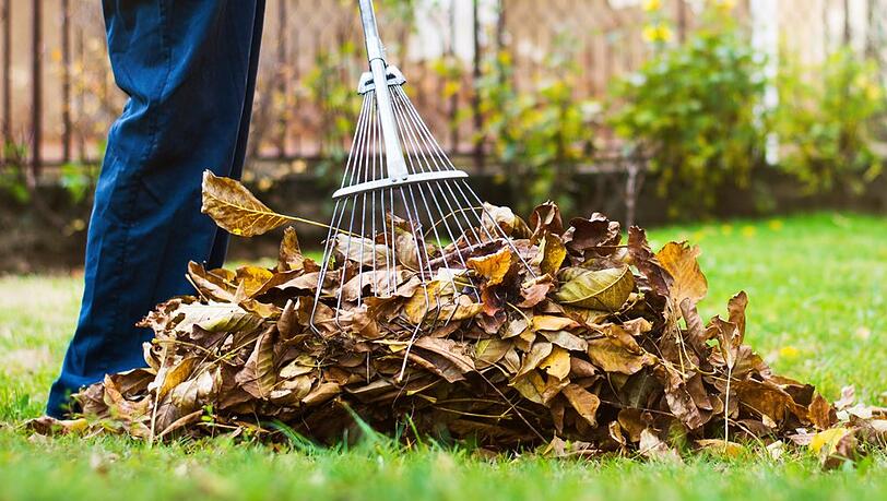Im Herbst fällt jede Menge Laub an. Im Herbst fällt jede Menge Laub an.