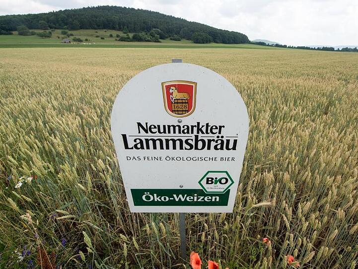 Ein Schild der Neumarkter Bio-Brauerei Lammsbräu steht vor einem Feld mit Öko-Weizen. Foto: Armin Weigel/Archivbild