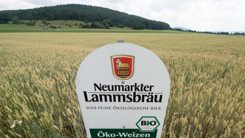 Ein Schild der Neumarkter Bio-Brauerei Lammsbräu steht vor einem Feld mit Öko-Weizen. Foto: Armin Weigel/Archivbild Ein Schild der Neumarkter Bio-Brauerei Lammsbräu steht vor einem Feld mit Öko-Weizen. Foto: Armin Weigel/Archivbild