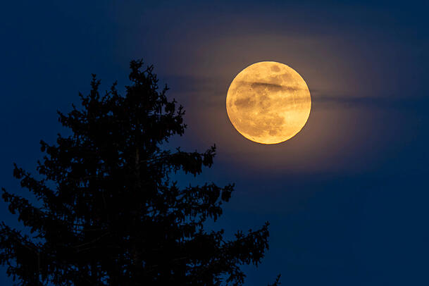 Der erste Vollmond nach Fr&uuml;hlingsbeginn bestimmt, auf welches Datum der Ostersonntag f&auml;llt.