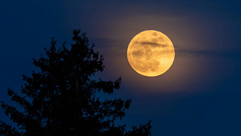 Der erste Vollmond nach Fr&uuml;hlingsbeginn bestimmt, auf welches Datum der Ostersonntag f&auml;llt.