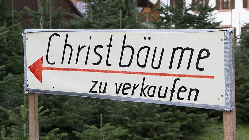 Vom Christbaumverkauf am Karl-Preis-Platz wurden fünf Christbäume entwendet (Symbolbild).