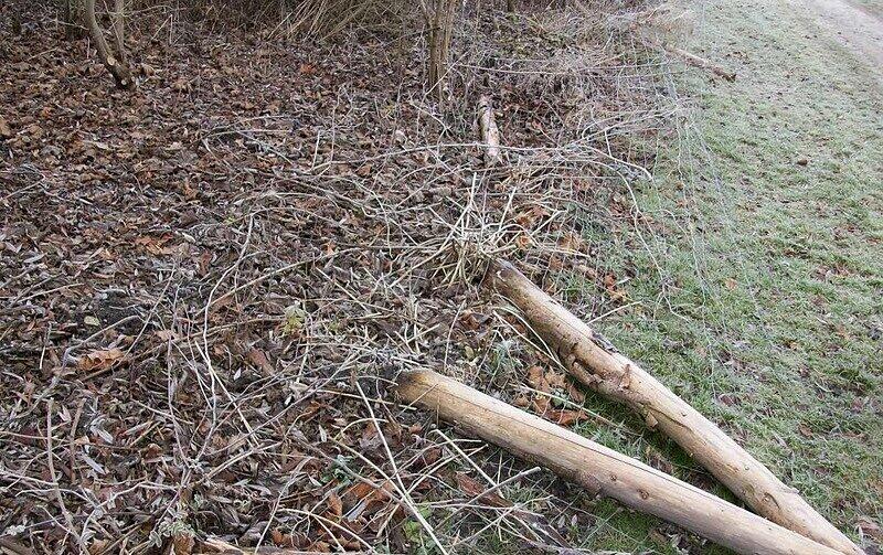 Die Einzäunung an der Langwieder Seenplatte verfällt.