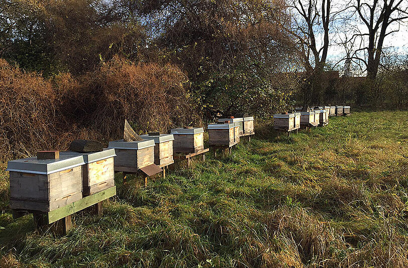 So sehen die Bienenstöcke im geschlossenen Zustand aus.