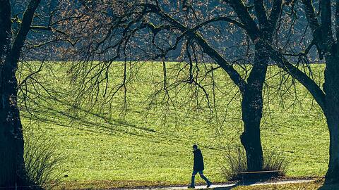 Vor allem im Süden Bayerns soll es nach Angaben des Deutschen Wetterdienstes (DWD) sehr mild werden. (Archivbild)