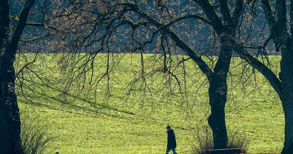 Sonne-und-milde-Temperaturen-in-Bayern