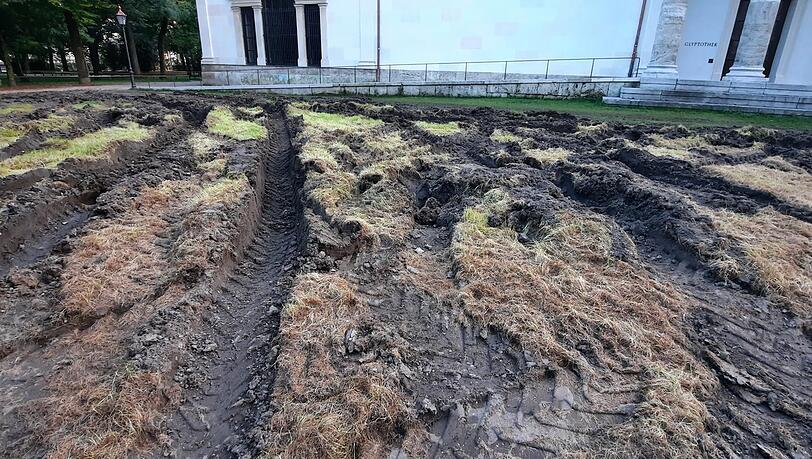 Bis zu einen halben Meter tief sind schwere Maschinen in die Wiese eingesunken - das sieht dann so aus. Bis zu einen halben Meter tief sind schwere Maschinen in die Wiese eingesunken - das sieht dann so aus.