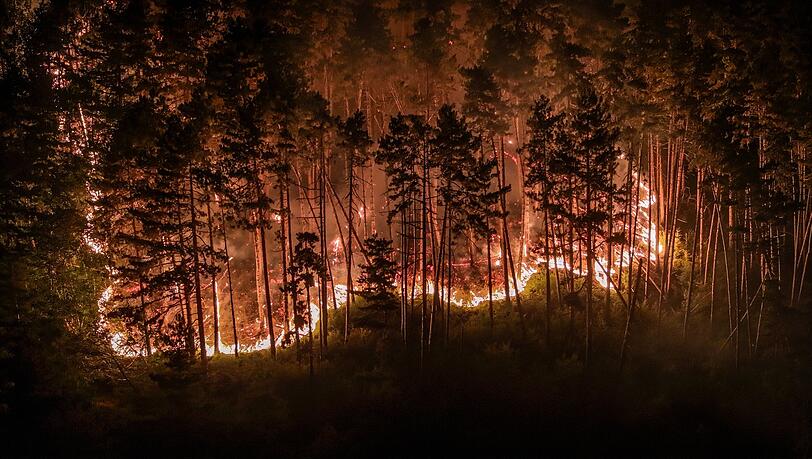 Durch die Trockenheit der vergangenen Wochen ist der Wald extrem dürr. Durch die Trockenheit der vergangenen Wochen ist der Wald extrem dürr.