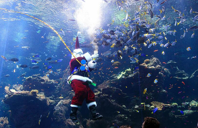 ...als Scuba-Santa!