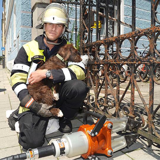 Untere Weidenstraße: 
Kein Hund ist gerne allein. Auch &bdquo;Patita&ldquo;, eine portugiesische Wasserhündin, denkt wohl so. Ihr Frauchen verlässt das heimatliche Grundstück, alleine. Die Hündin steckt daraufhin den Kopf durch das Gartentor. Und das bleibt auch so. Sie kommt nämlich nicht mehr zurück. Nachbarn rufen die Feuerwehr. Mit einem hydraulischen Spreizer kann die Sehnsüchtige unverletzt befreit werden.