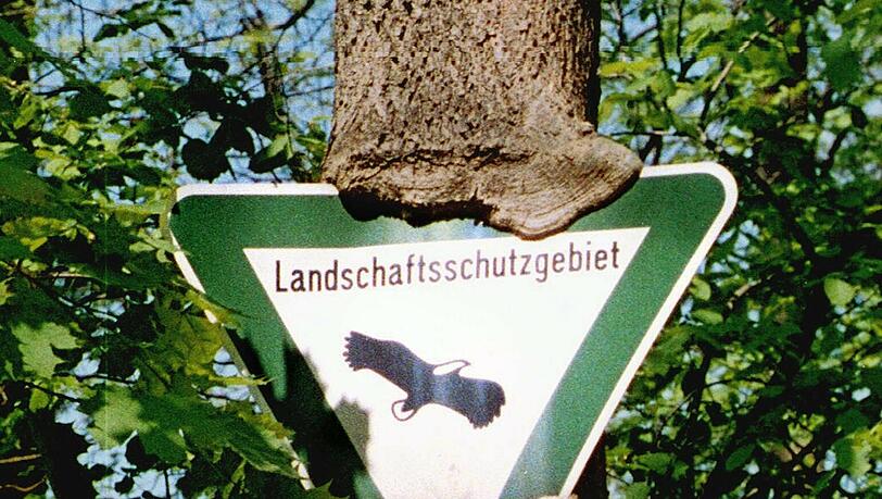 Dem "Mythos Wald" geht die Landesausstellung im Kloster Ettal nach. Dem "Mythos Wald" geht die Landesausstellung im Kloster Ettal nach.
