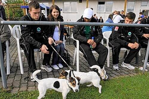 Beim Kleeblatt nicht auf den Hund gekommen, ganz im Gegenteil: Torhüter Max Grün kann sich über einen Vertrag bis 2014 freuen. Mit seiner schwangeren Ehefrau Isabella und dem Familienhund, einem Jack-Russell-Terrier, verfolgte er das Testspiel in Trautskirchen als Zaungast.