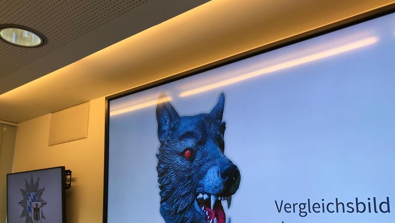 Auf einem Bildschirm im Polizeipräsidium präsentiert die Polizei ein Vergleichsbild einer Wolfsmaske. Auf einem Bildschirm im Polizeipräsidium präsentiert die Polizei ein Vergleichsbild einer Wolfsmaske.