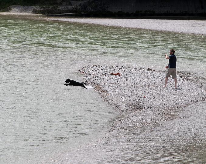 Ideale Erfrischung: Ein Münchner wirft für seinen Hund Steine in die nur mäßig warme Isar.