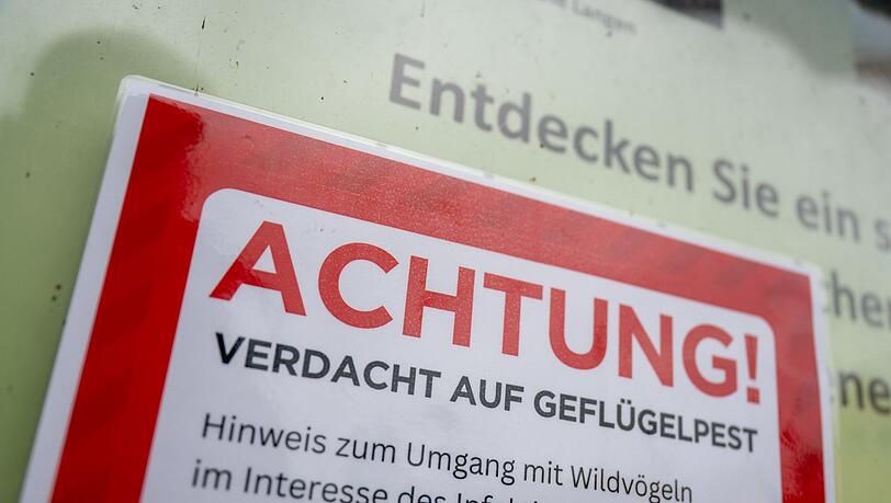Für Menschen besteht keine besondere Gefahr. (Symbolfoto)
