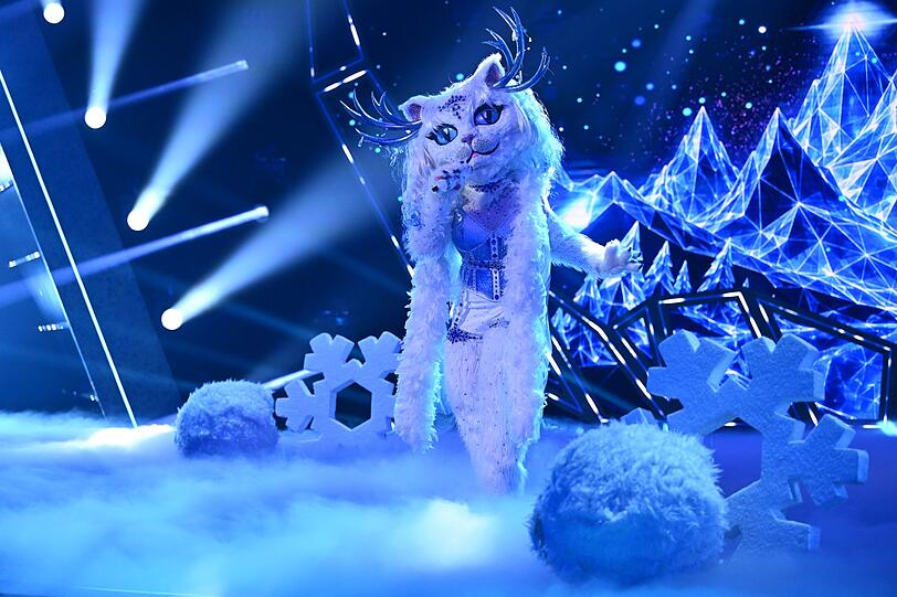 Grandiose Gesangsleistung: Yeti Cat brillierte mit "Running Up That Hill" von Kate Bush. Wer im Kostüm steckt, wird sich erst im Finale zeigen. Grandiose Gesangsleistung: Yeti Cat brillierte mit "Running Up That Hill" von Kate Bush. Wer im Kostüm steckt, wird sich erst im Finale zeigen.
