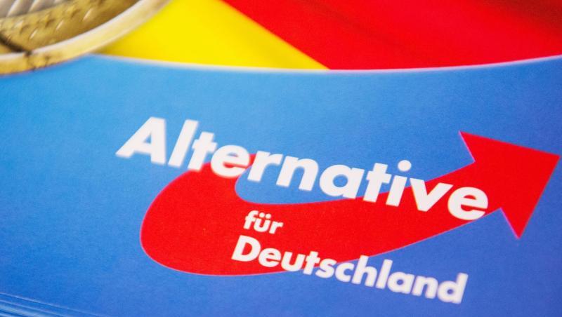Das Logo der AfD auf einem Flyer. Foto: Christophe Gateau/Archiv Das Logo der AfD auf einem Flyer. Foto: Christophe Gateau/Archiv