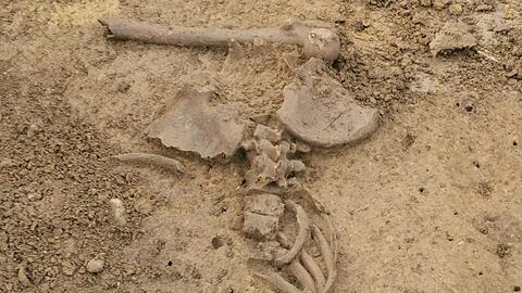 Die menschlichen Überreste werden auf 4.200 bis 4.800 Jahre geschätzt.