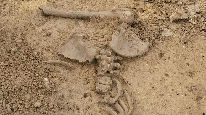 Die menschlichen Überreste werden auf 4.200 bis 4.800 Jahre geschätzt.