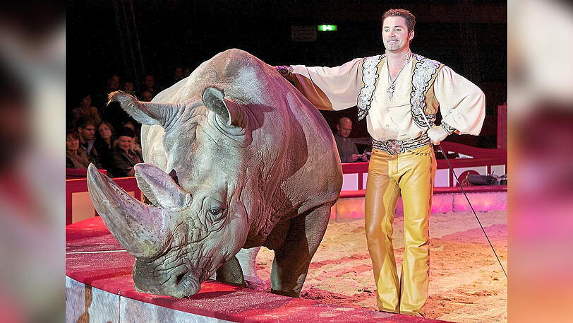 Ein Koloss in der Manege: Nashorn Tsavo mit Tierlehrer Martin Lacey.