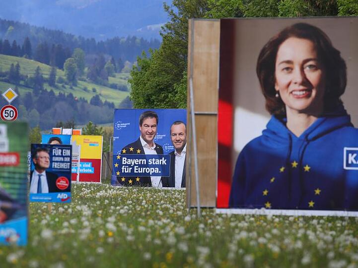 Wahlplakate verschiedener Parteien zur Europawahl stehen am Rande einer Straße in der Landschaft. Foto: Karl-Josef Hildenbrand/Archivbild