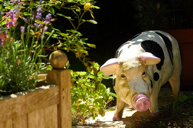 Die Wolffs sammeln Gartenzwerge jeglicher Art.